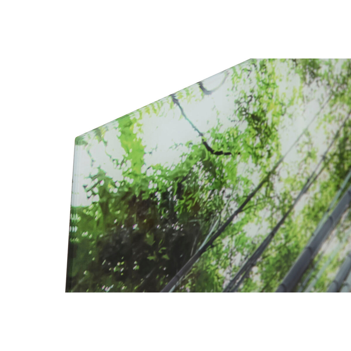V1H75D13556DD6940526B8F9641EAAFDF83RP2